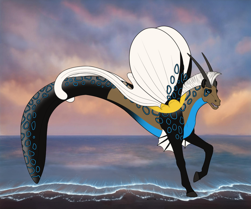 1658_d7m6FaQHSK.png