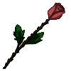 Rose (One Enchant)