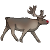 Rudolph​​