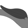 Elongated Short Tailed Bottom Wings