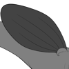 Elongated Rounded Bottom Wings