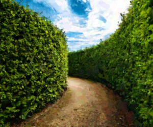 Hedge Maze Background