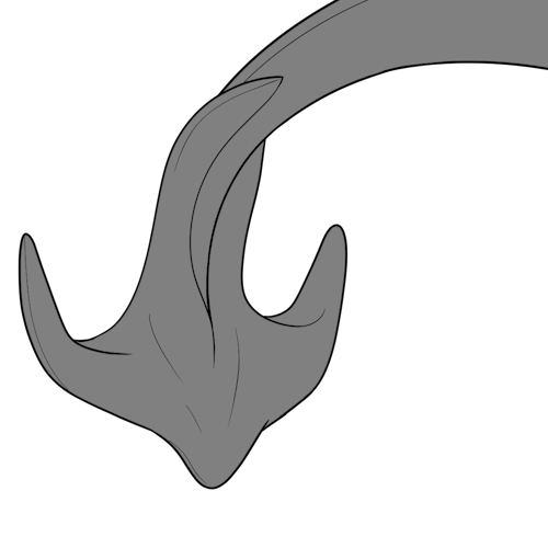 Anchor Tail Fin