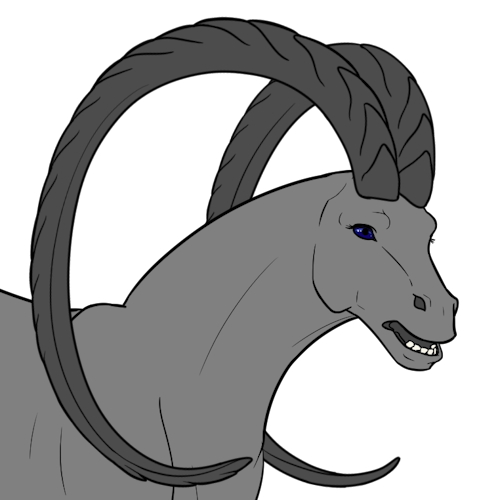 Ibex Horns (Sub)