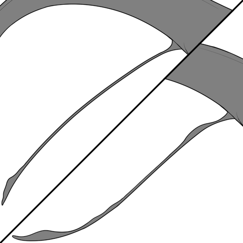 Caudal Fin