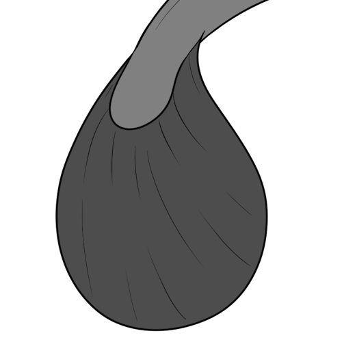 Rounded Tail