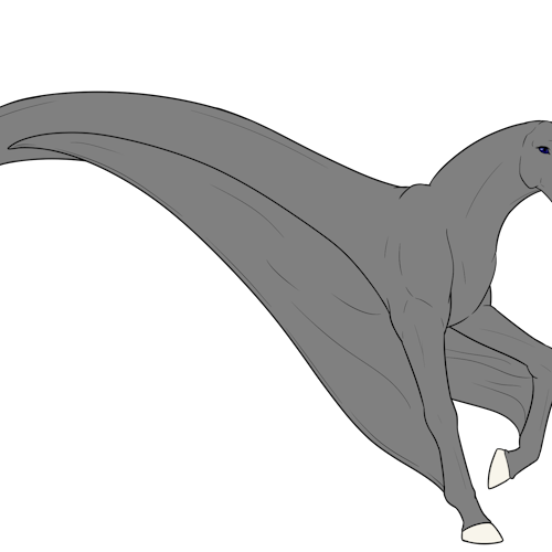 Glider Fins