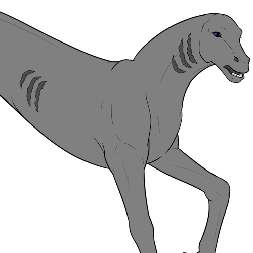 Gills
