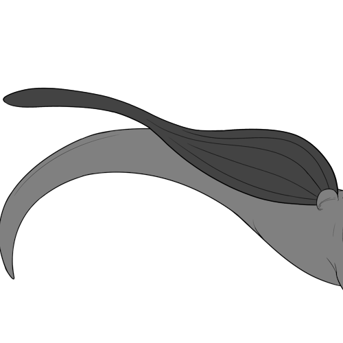 Elongated Long Tailed Bottom Wings